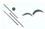 Envision Export Pvt. Ltd, India logo