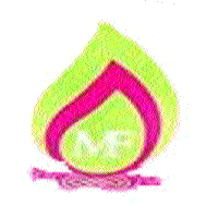 Mamoni Beauty Shop, Banasree logo